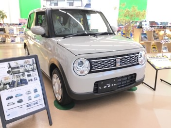かわいいラパン展示し始めました❤
